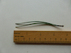 Austrian pine leaf