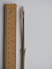 Viburnum lantana Wayfaring tree twig